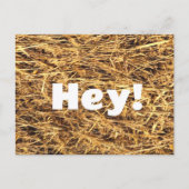 Hey! Hay Postcard Postkarte (Vorderseite)