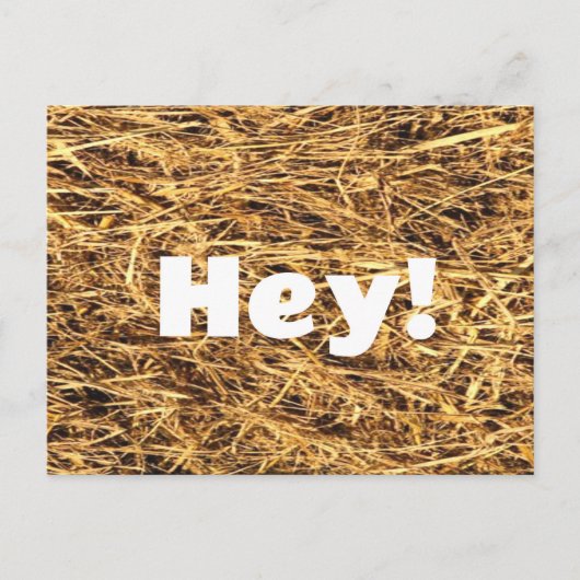 Hey! Hay Postcard Postkarte (Vorderseite)
