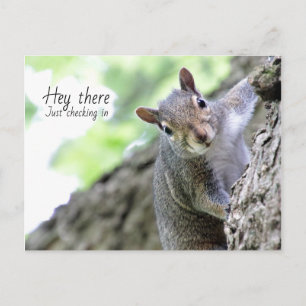 Hey, hier, nur in der Postkarte checken