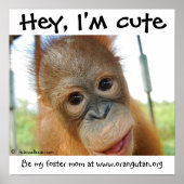 Hey, ich bin Niedlich Baby Orangutan Poster (Vorne)
