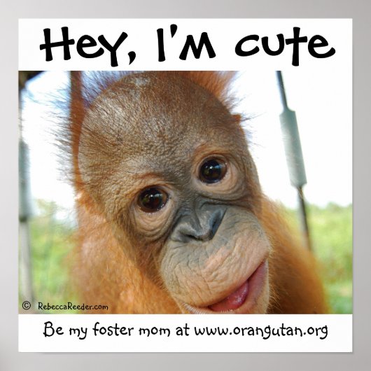 Hey, ich bin Niedlich Baby Orangutan Poster (Vorne)