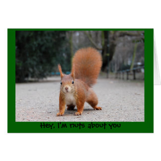 Hey, ich bin verrückt nach dir