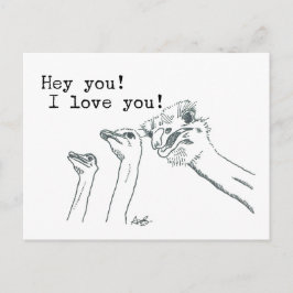Hey! Ich Liebe dich! - Straußenpost-Karte Postkarte