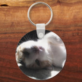 Hey Kitty Key Chain! Schlüsselanhänger (Vorderseite)