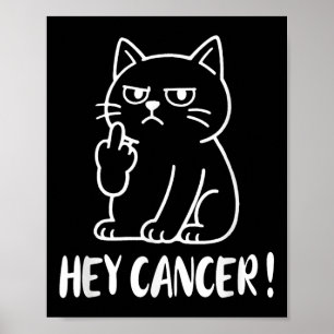 Hey Krebs F dich Lustiges Meme Katze Mittelfinger Poster