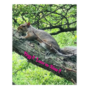 Hey! Lass mich in Ruhe! Verärgertes Eichhörnchen  Fotodruck