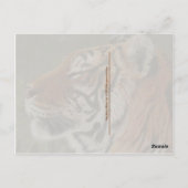 Hey, Mama Weck auf! Tiger und Mutter Postkarte (Rückseite)
