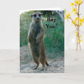 Hey, Meerkat Geburtstagskarte Karte (Gelbe Blume)