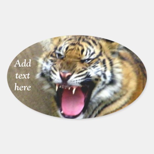 Hey_ Ovaler Aufkleber (Vorderseite)