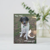 Hey Pal, Whazzup?! Postkarte (Stehend Vorderseite)
