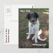 Hey Pal, Whazzup?! Postkarte (Vorne/Hinten)