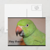 Hey! Postkarte (Vorne/Hinten)