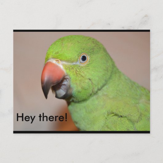 Hey! Postkarte (Vorderseite)