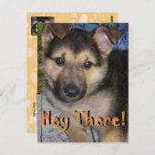 Hey! Postkarte (Vorne/Hinten)