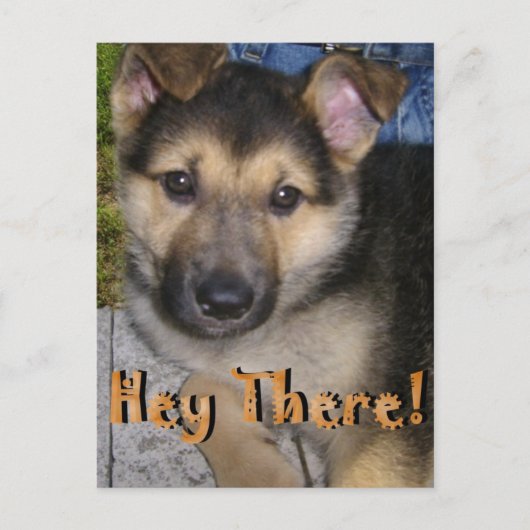 Hey! Postkarte (Vorderseite)