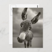 Hey Postkarte (Vorne/Hinten)