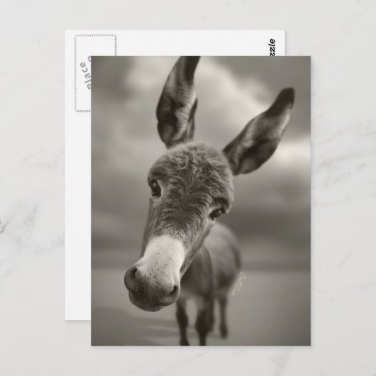 Hey Postkarte (Vorne/Hinten)