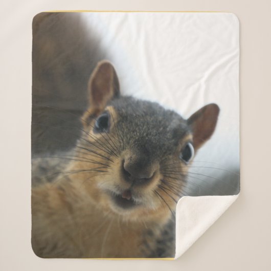 Hey, Sherpadecke (Vorderseite)