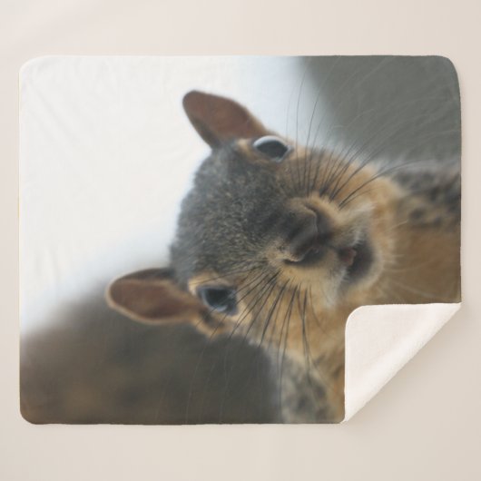 Hey, Sherpadecke (Vorderseite (Horizontal))