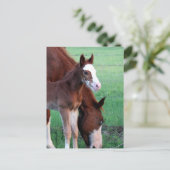 Hey, sieh mich an! postkarte (Stehend Vorderseite)