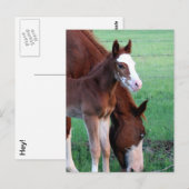 Hey, sieh mich an! postkarte (Vorne/Hinten)