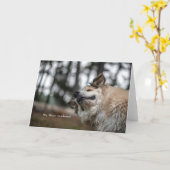 Hey, There Handsome! Karte (Gelbe Blume)