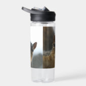 Hey, Trinkflasche (Rechts)