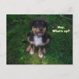 Hey, was ist los? postkarte