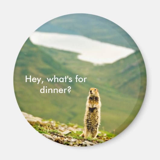 Hey, was ist zum Abendessen? Magnet (Vorne)