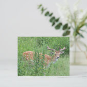 Hey - wer hat gesagt, dass du das kannst? postkarte (Stehend Vorderseite)