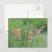 Hey - wer hat gesagt, dass du das kannst? postkarte (Vorne/Hinten)