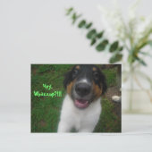 Hey, Whazzup!!!! Postkarte (Stehend Vorderseite)