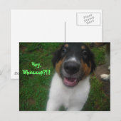 Hey, Whazzup!!!! Postkarte (Vorne/Hinten)