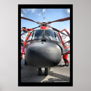 HH-65-Nase Poster