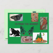 Hi aus dem Waldlager Postkarte (Vorne/Hinten)