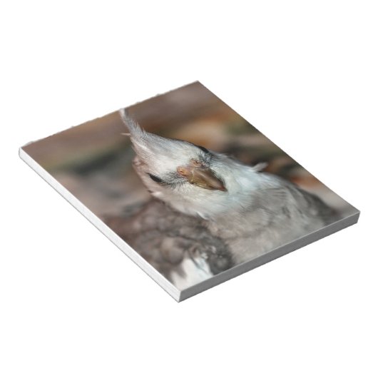 Hi da notizblock (angewinkelt)