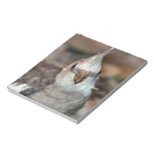 Hi da notizblock (Rotiert)