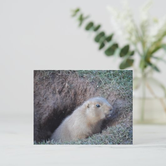 Hi da postkarte (Stehend Vorderseite)