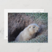 Hi da postkarte (Vorne/Hinten)