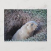 Hi da postkarte (Vorderseite)