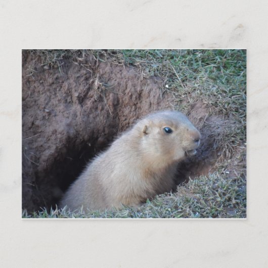 Hi da postkarte (Vorderseite)