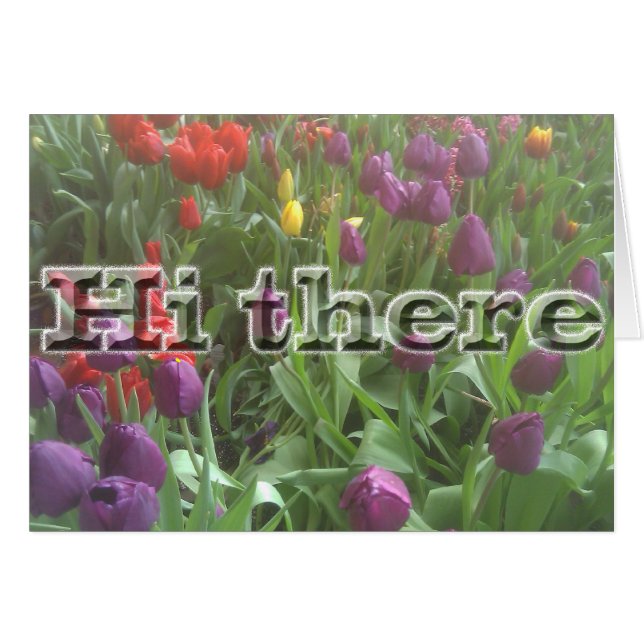 Hi da Spring (Vorderseite (Horizontal))
