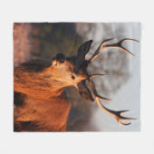 HI DEER FLEECEDECKE (Vorderseite (Horizontal))