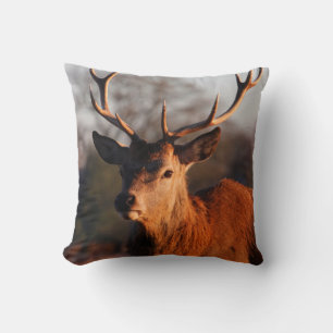 HI DEER KISSEN