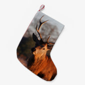 HI DEER KLEINER WEIHNACHTSSTRUMPF (Vorderansicht (hängend))