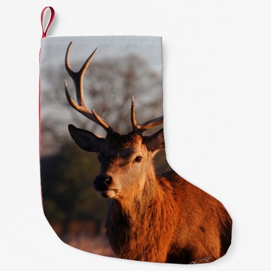 HI DEER KLEINER WEIHNACHTSSTRUMPF (Vorderseite)