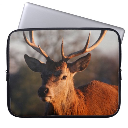HI DEER LAPTOPSCHUTZHÜLLE (Vorderseite)