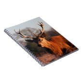 HI DEER NOTIZBLOCK (Rechte Seite)