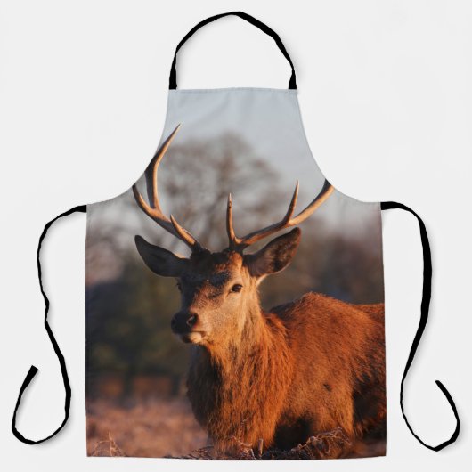 HI DEER SCHÜRZE (Vorderseite)