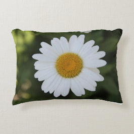 Hi-def-Fotografie eines Daisy Dekokissen